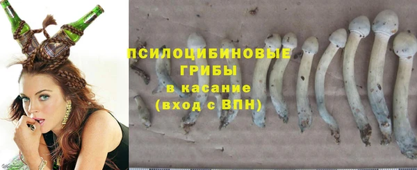 гашишное масло Заводоуковск