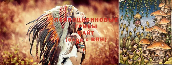 стафф Елизово