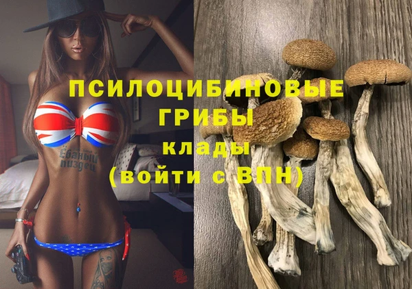 гашишное масло Заводоуковск