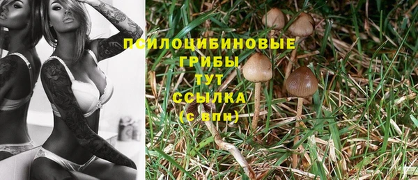 mdma Заволжск
