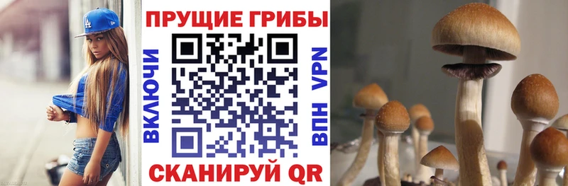 Купить  Певек  Галлюциногенные грибы GOLDEN TEACHER 